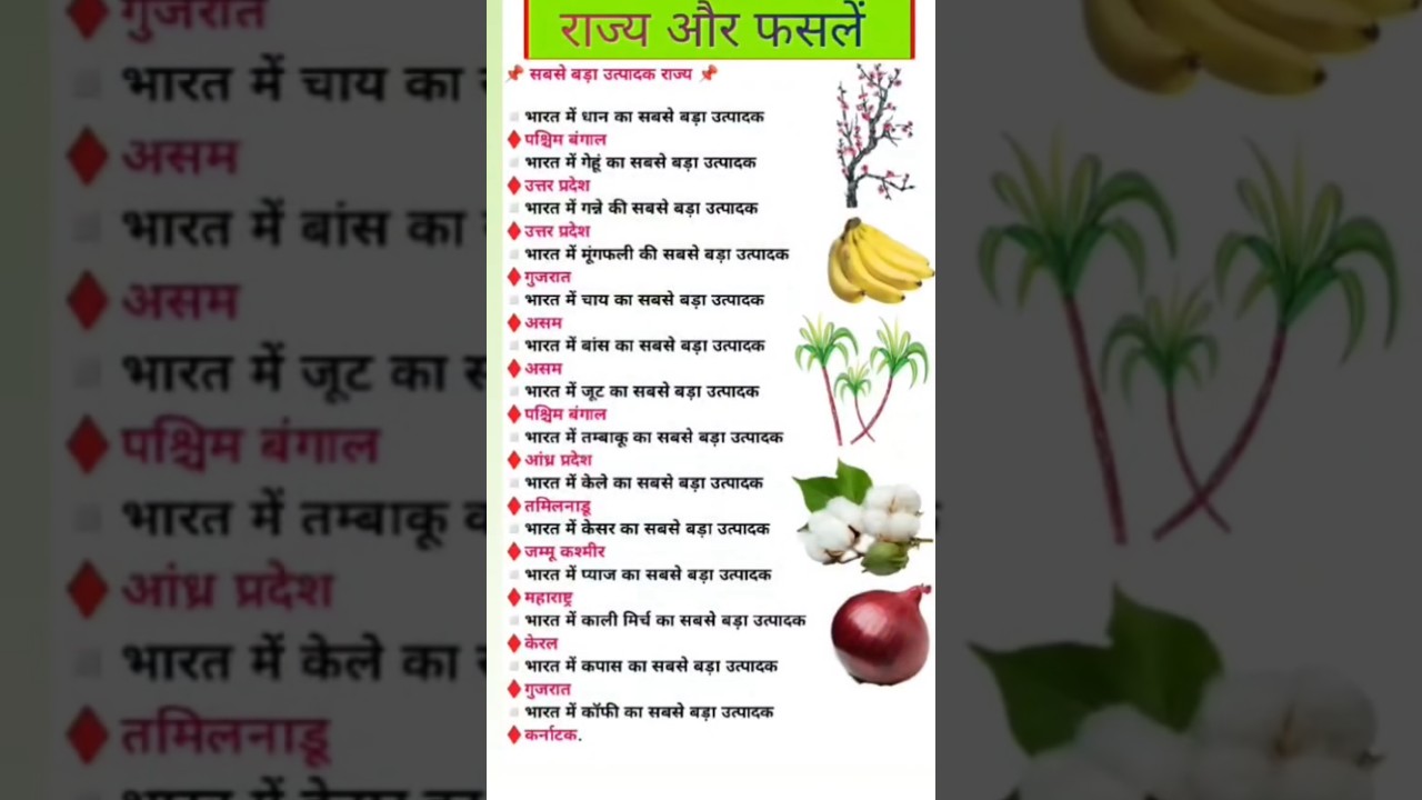 राज्य और फसले