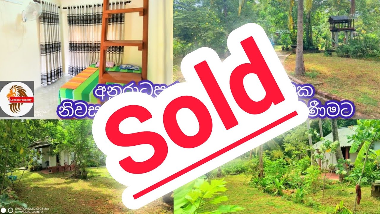 ඉහළ මාසික ආදායමක් ලැබිය හැකි ව්‍යාපාරය නිවසත් පර්චස් 80ක ඉඩම විකිණීමට🏠House for sale in Anuradhapura