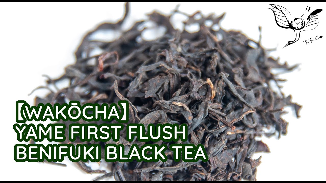 Yame First Flush Benifuki Wakōcha Black Tea - Tea introduction