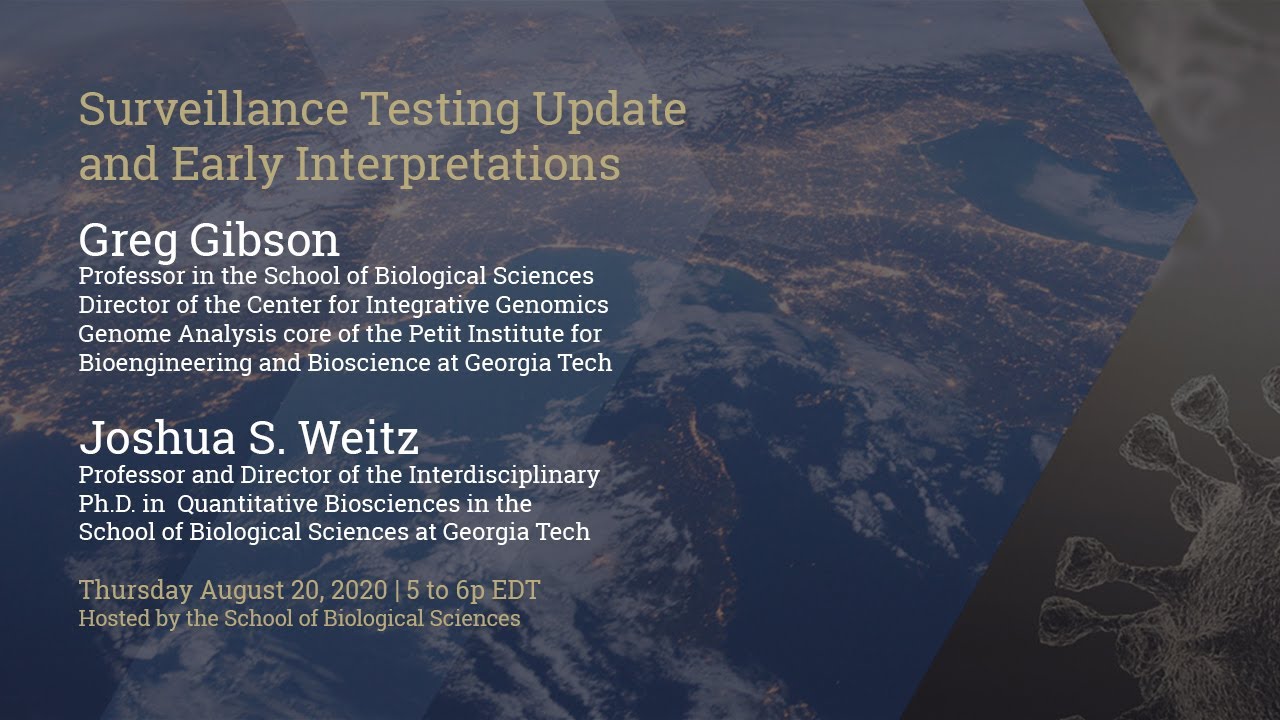 Georgia Tech Surveillance Testing: Update and Early Interpretations