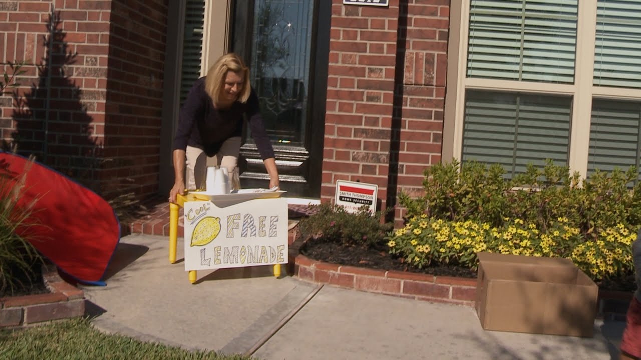 Will and Zoey's Lemonade Stand | The Little Couple