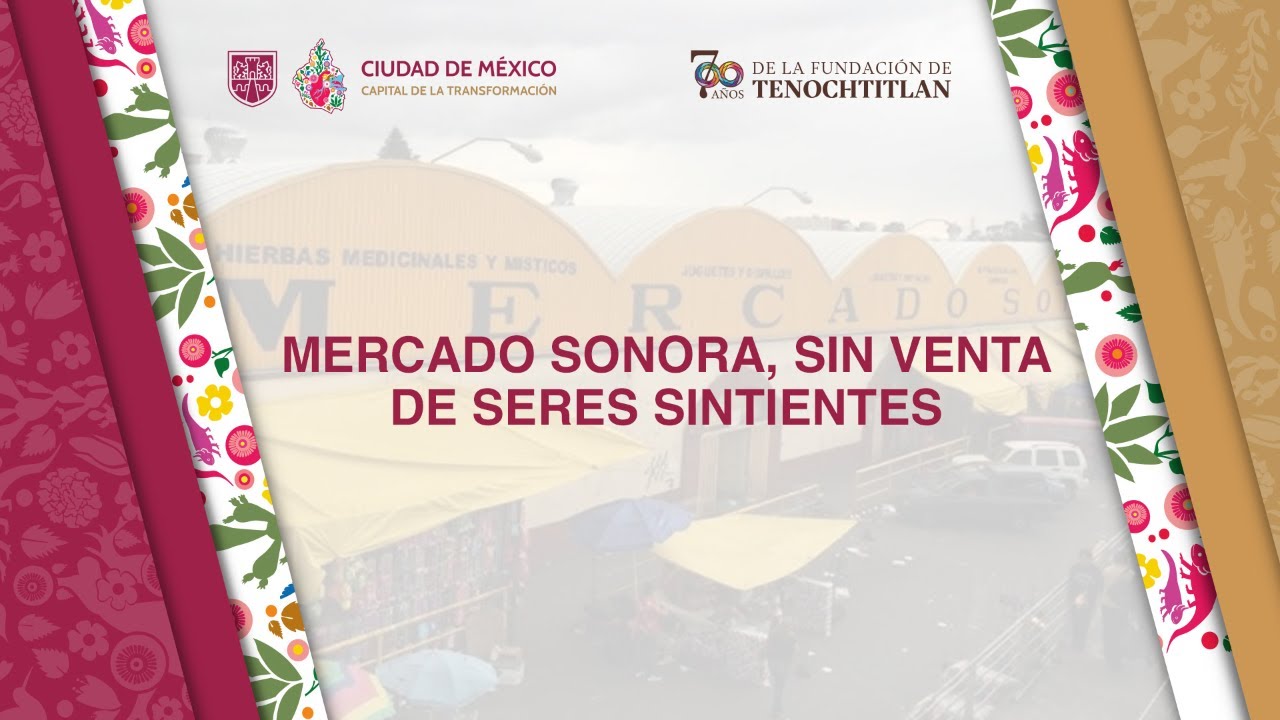 Mercado Sonora, Sin Venta de Seres Sintientes