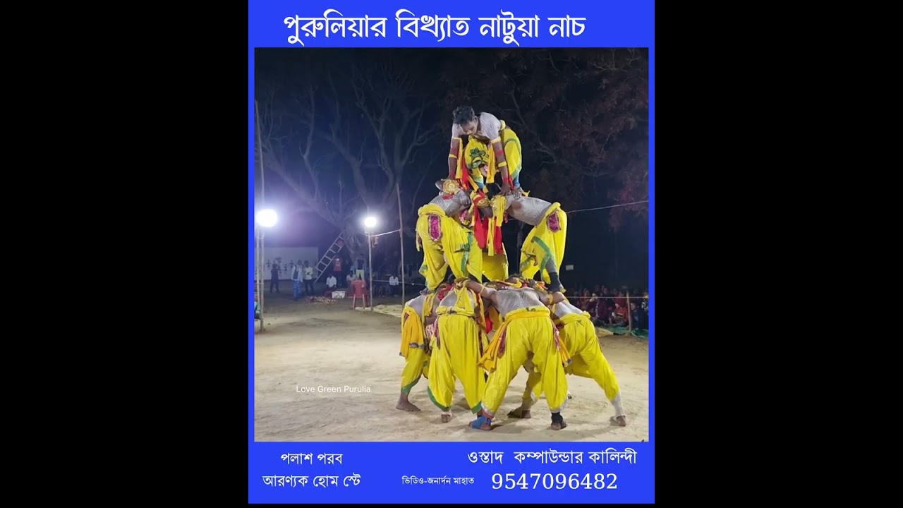 পুরুলিয়ার বিখ্যাত নাটুয়া_নাচ। পাঁড়দ্দা হরিজন নাটুয়া নৃত্য ।কম্পাউন্ডার কালিন্দী। #purulia #natua