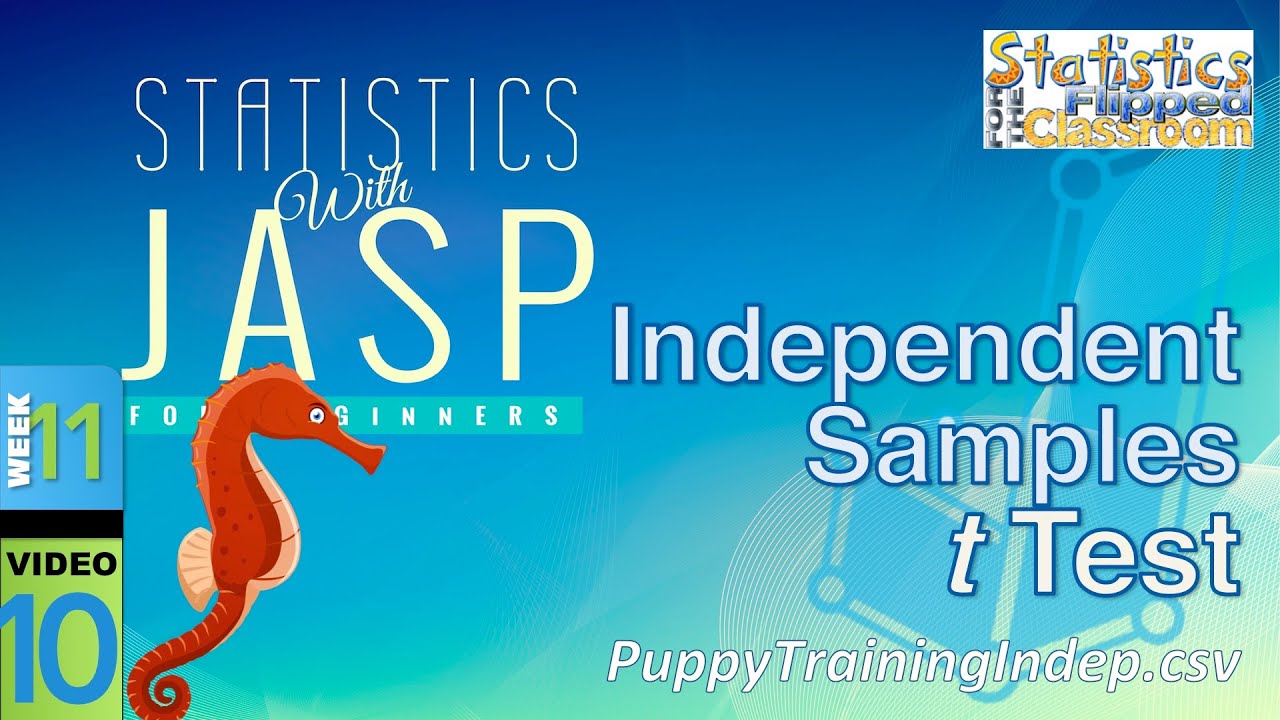 How to do an Independent Samples t Test in JASP (11-10)