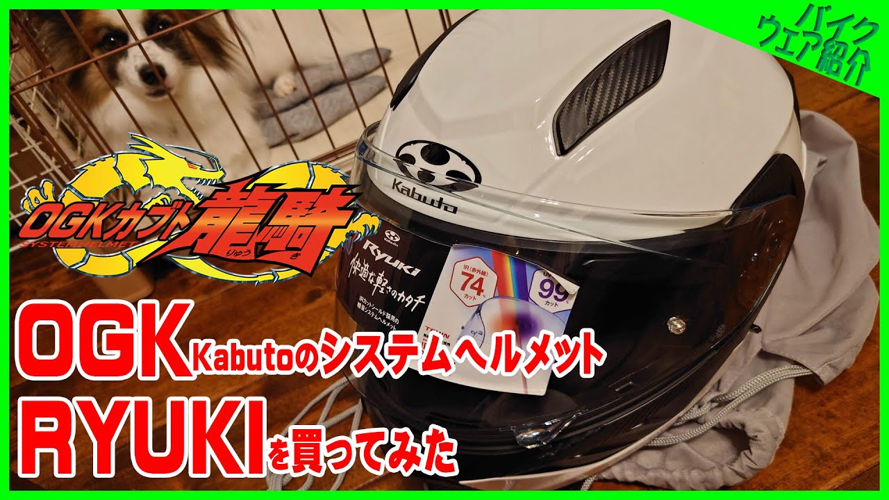 OGKカブトのシステムヘルメット【RYUKI】を買ってみた
