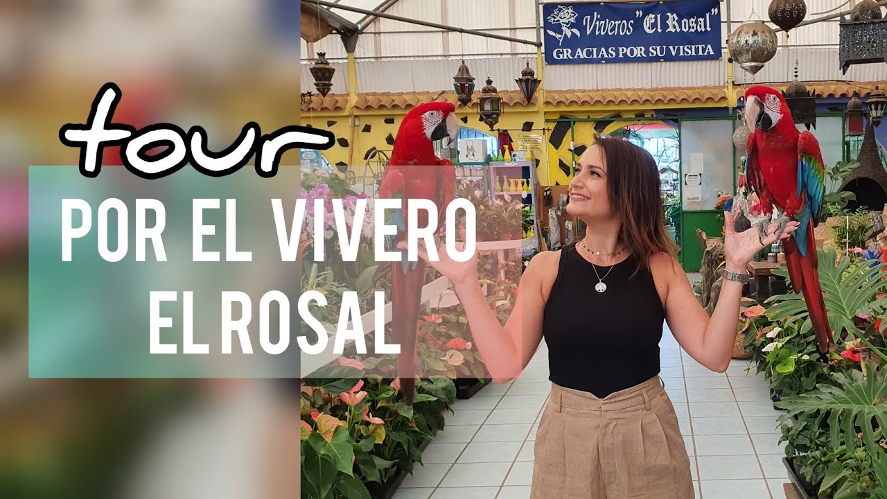 Tour por el vivero El Rosal/ Jardín Suculento