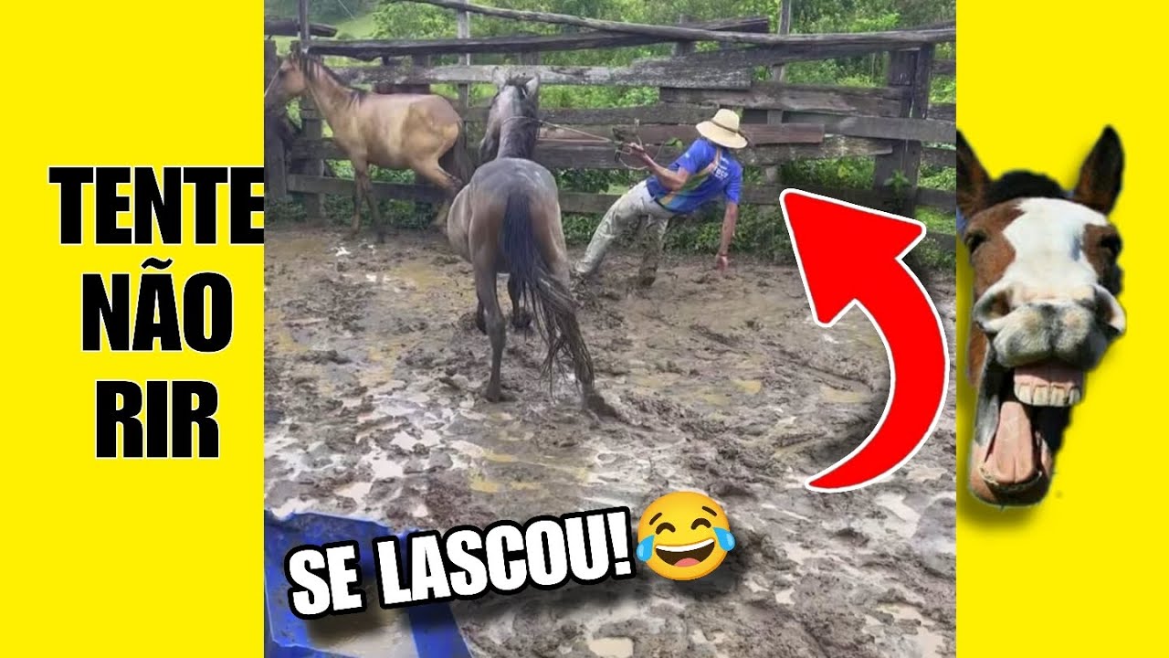 VÍDEOS ENGRAÇADOS 62: TENTE NÃO RIR #videosengracados #tentenaorir #memes #comedia #humor #funny 