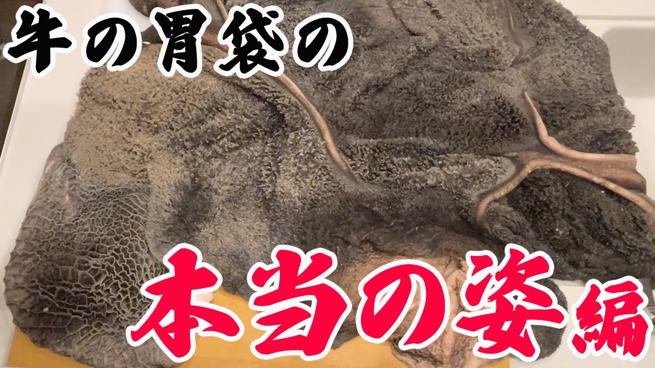 【ミノがし厳禁】YouTube史上初!?肉プロが語る牛の胃袋の全貌