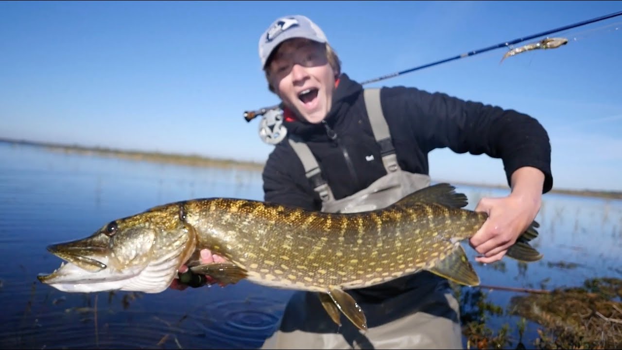 Fluefiskeri Efter Gedder I Vildmarken - Fly Fishing For Big Pikes! (100cm+)