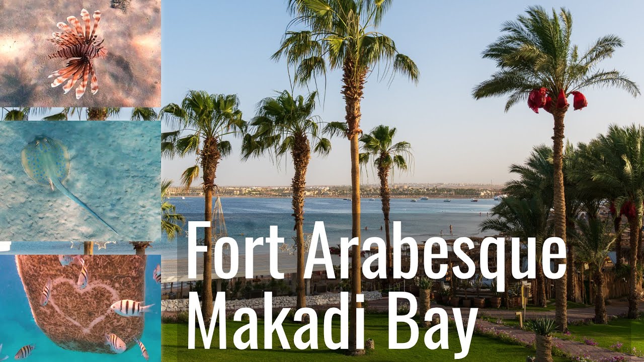 Schorcheln in Makadi Bay | Fort Arabesque Resort Spa & Villas Hausriff | Rotes Meer | Ägypten