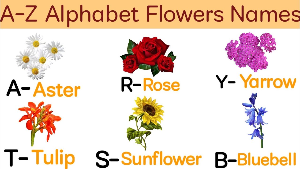 A-Z Alphabet Flowers Names | Load Gyan