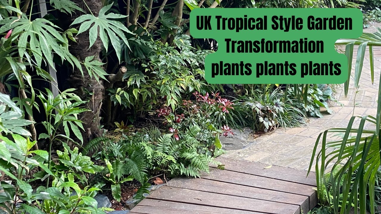 U.K. Tropical garden Rebuild. Part 13. Plants for shade.