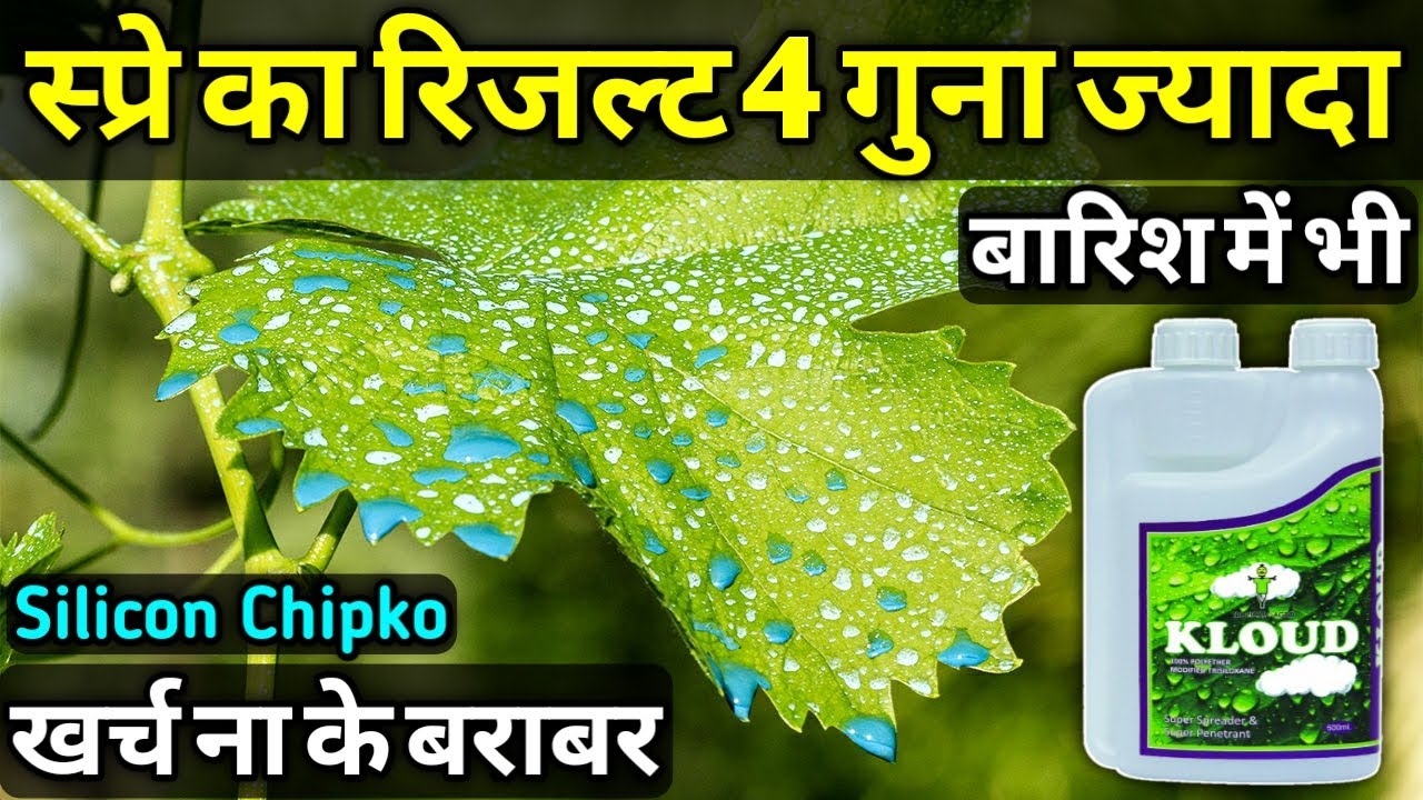 किसी भी स्प्रे का रिजल्ट 4 गुना ज्यादा | Silicon surfactant, waitting agent, chipko, spreader, spray
