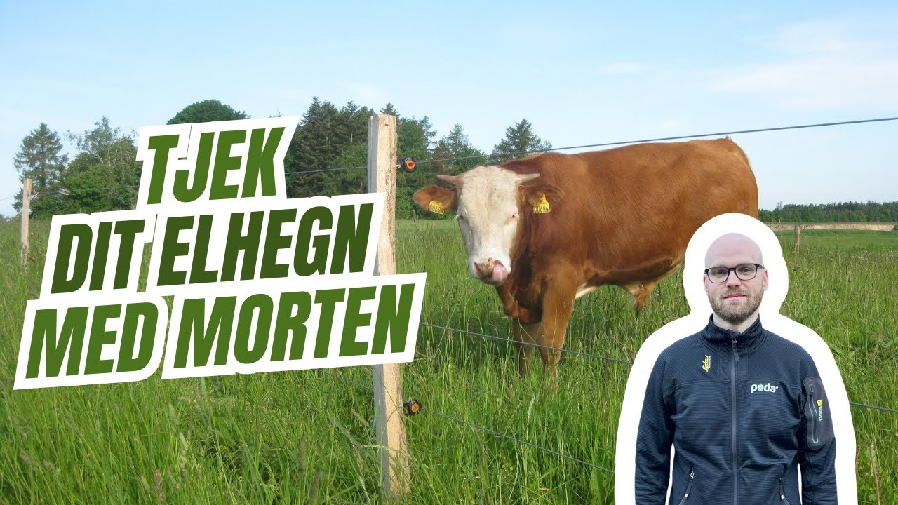 Test dit el-hegn | Poda Hegn