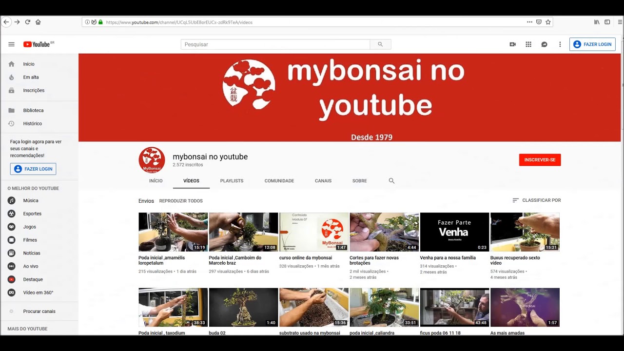 Conhe&ccedil;a o grupo mybonsai