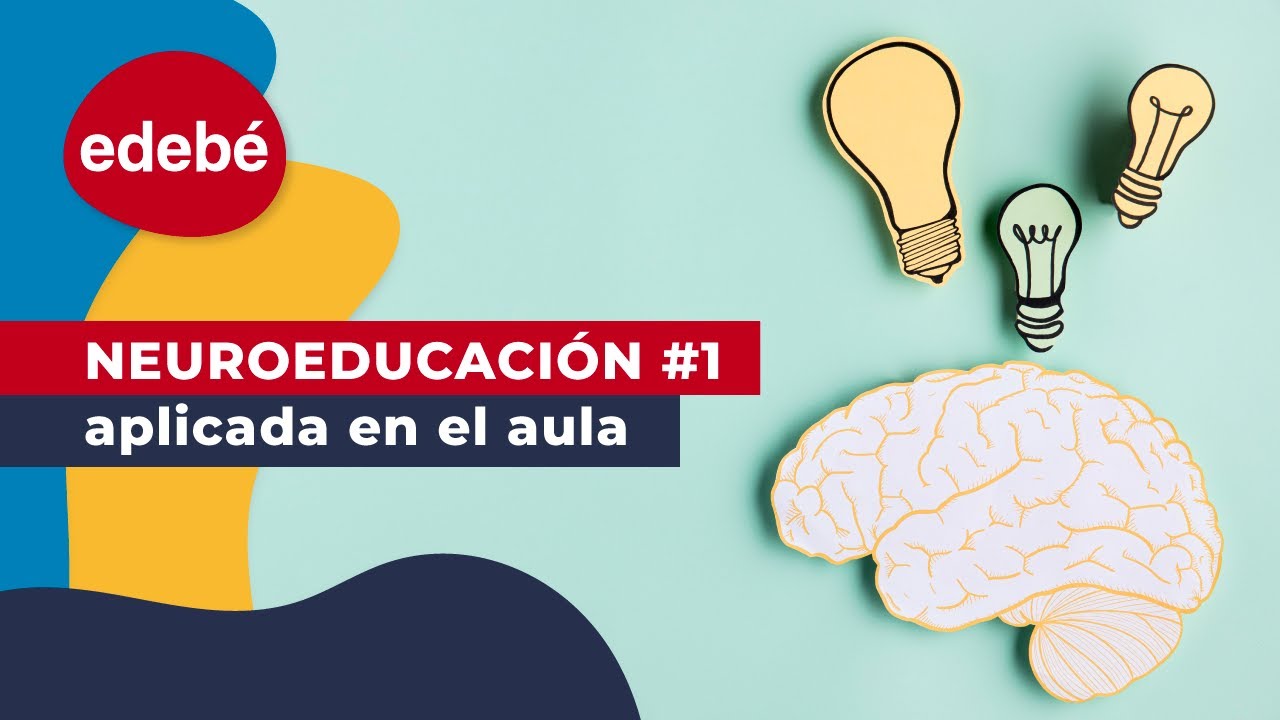 NEUROEDUCACIÓN | Neurociencia y educación, lo que debes saber como docente