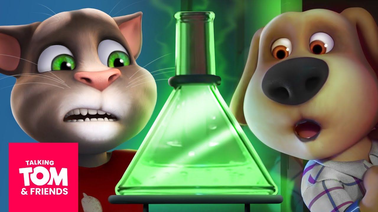 Who's the Genius? 💡 Talking Tom & Friends Compilation