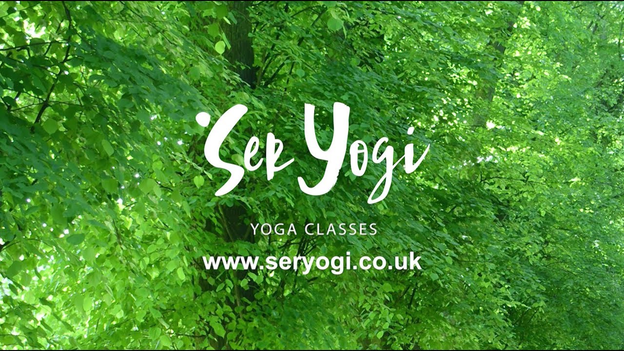 Ser Yogi - Yoga Classes