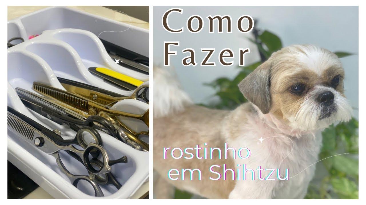 Como fazer rostinho de  Shihtzu Parte 1 - cabeça e orelhas