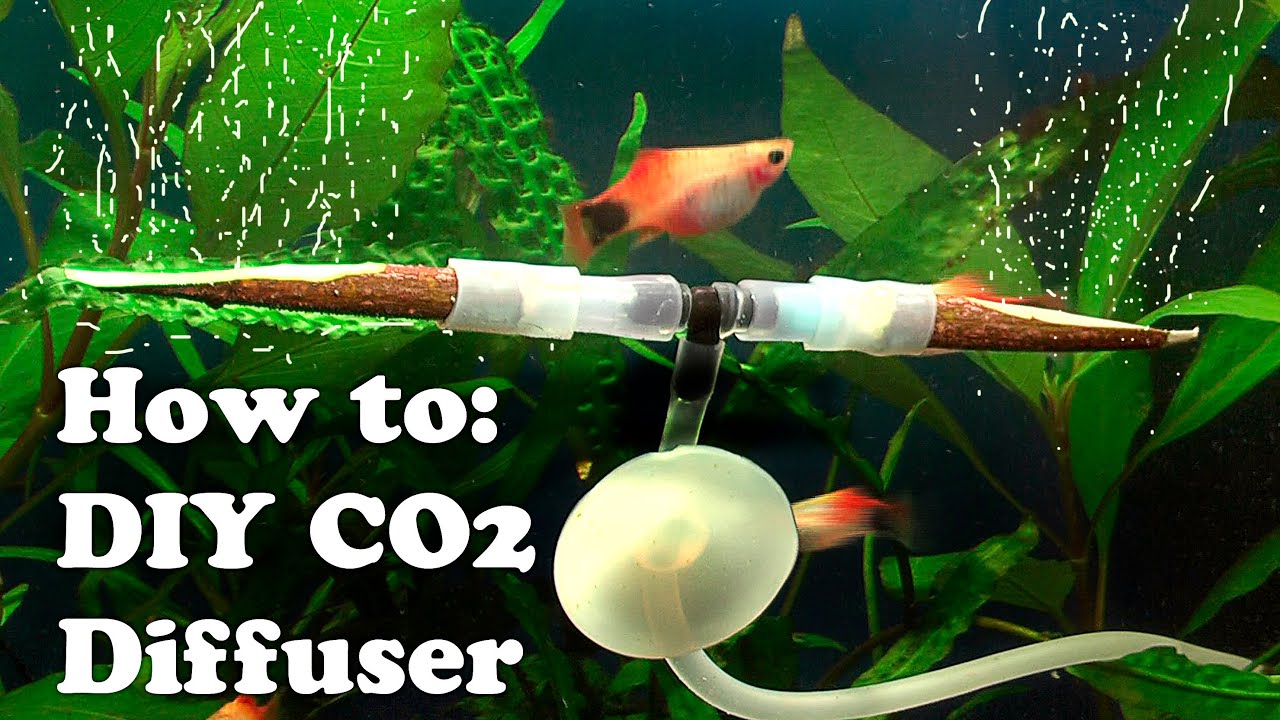 How to DIY cheap CO2 DIFFUSER using Rowen twigs Part 1