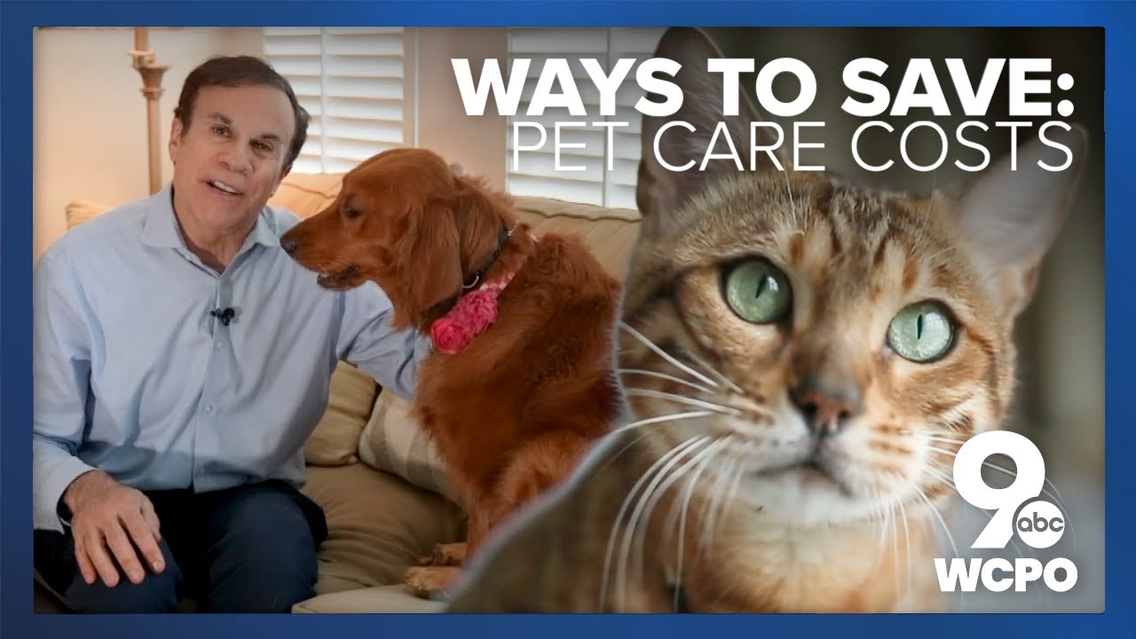 Save on pet costs, with food and care rising in 2025