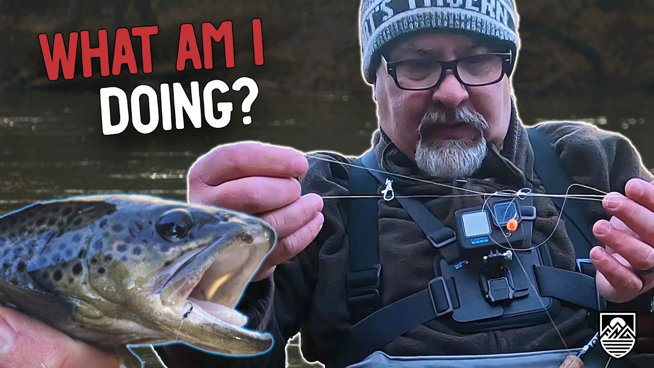 5 Trout Streams in 5 Days. Georgia DELAYED HARVEST Challenge!