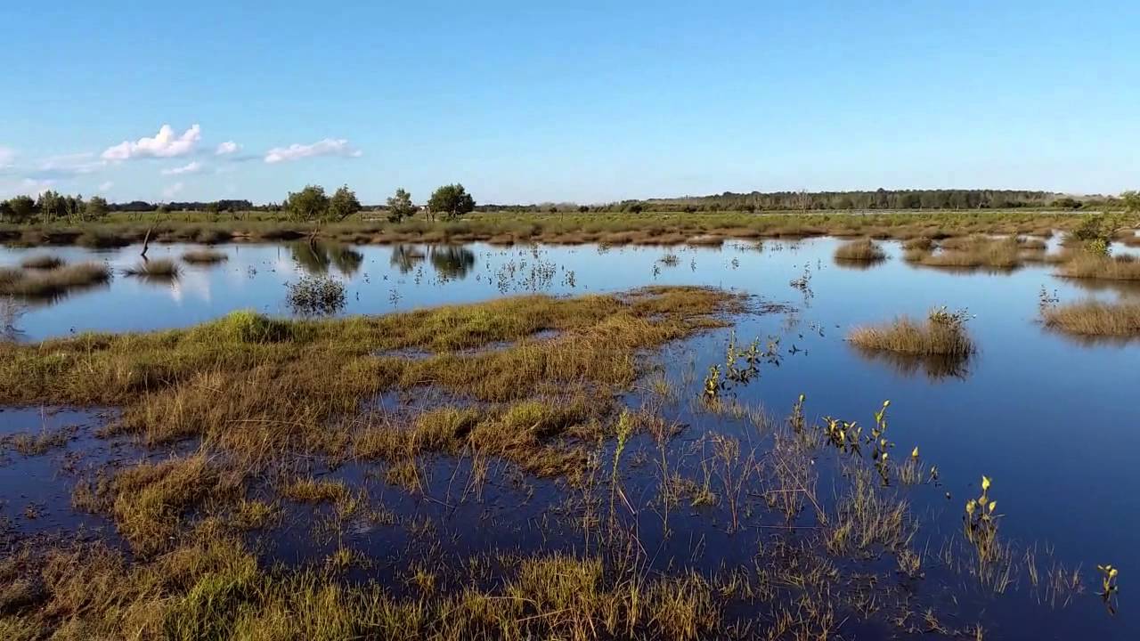 Hexham Swamp flooded 25 April 2015