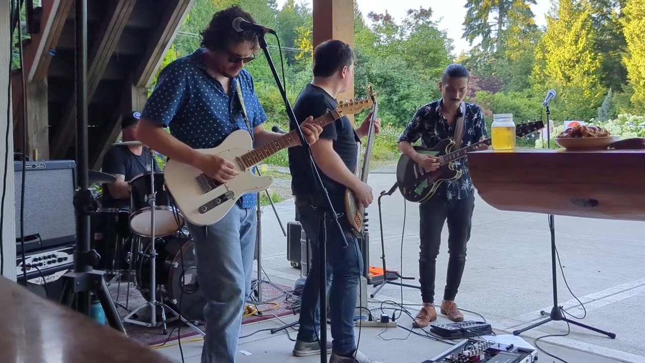Wolf Island - No Definite Plans (Live)