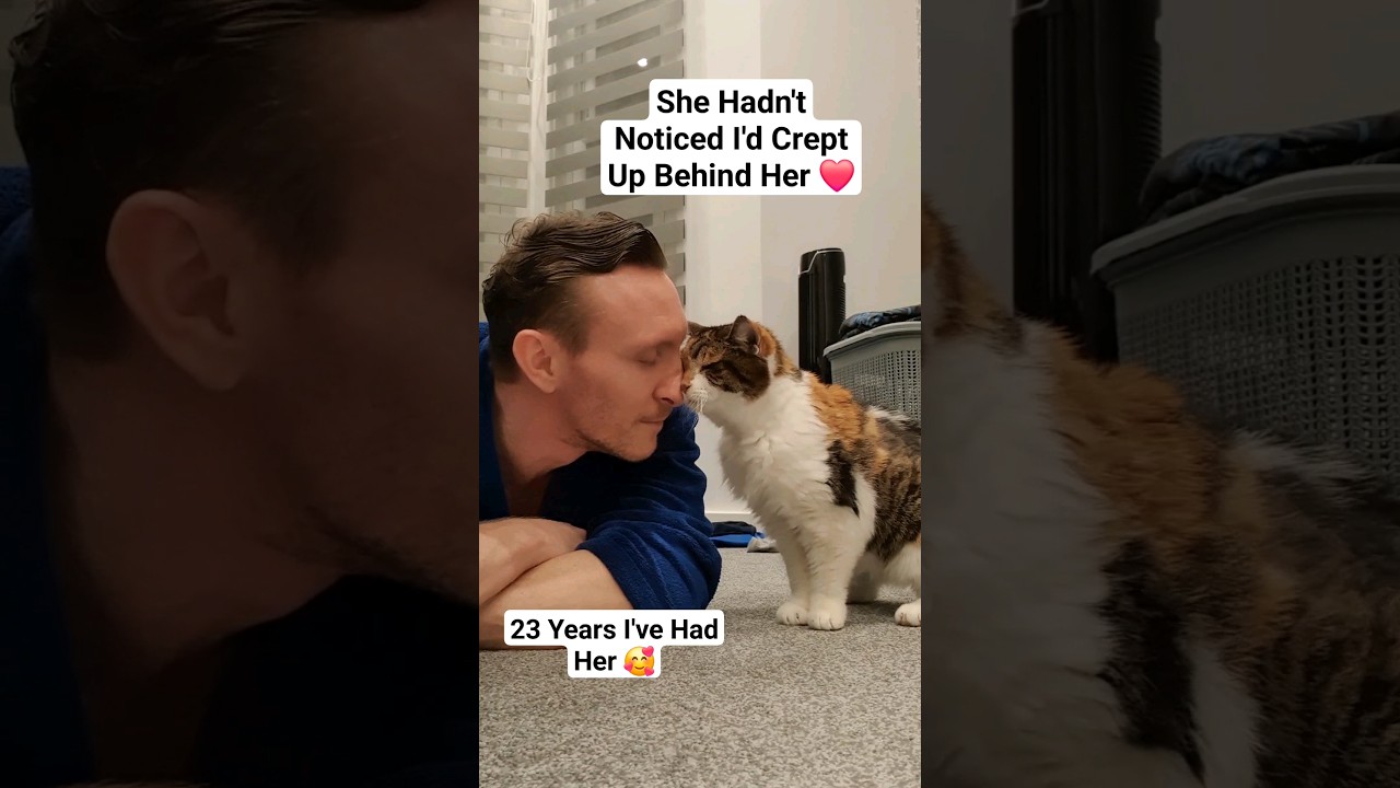 Cute 23 Year Old Cat Shows How Much She Loves Her Dad ❤️