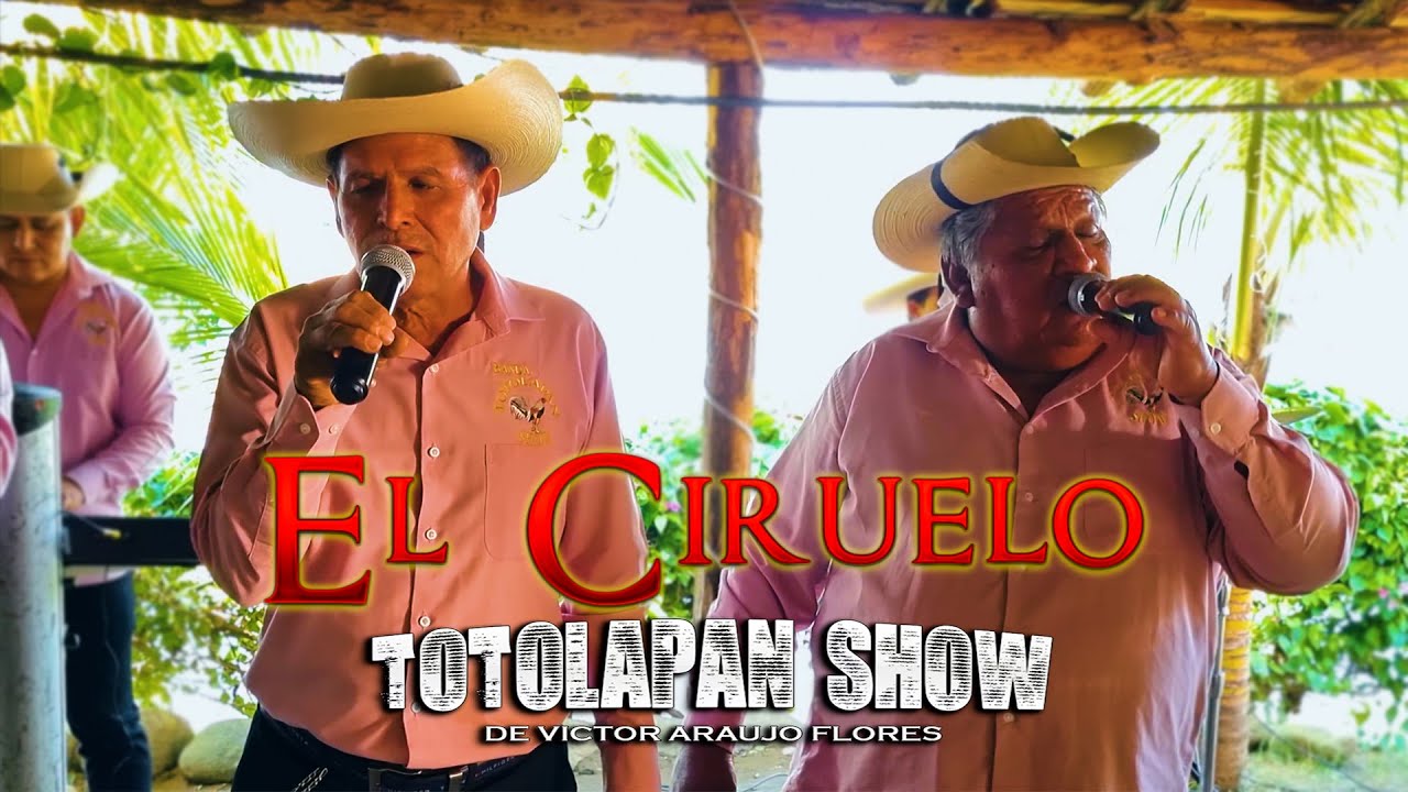 EL CIRUELO TOTOLAPAN SHOW EN VIVO 2024