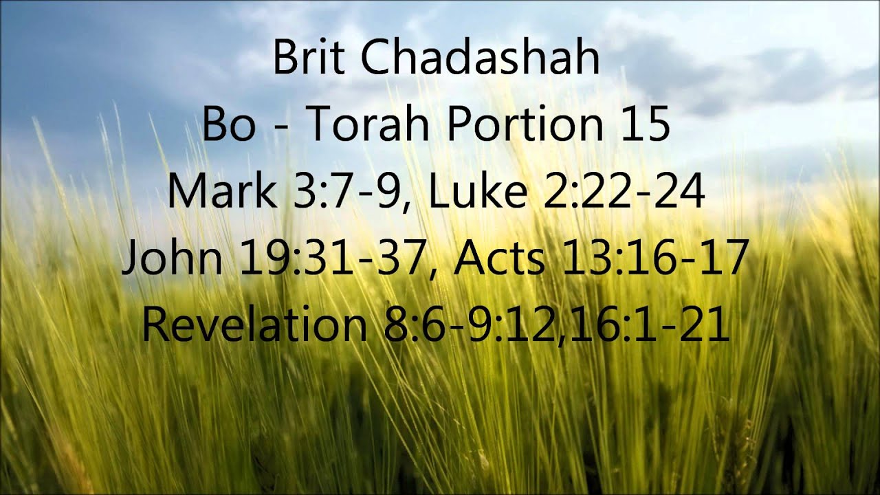 Bo Brit Chadashah Torah Portion 15