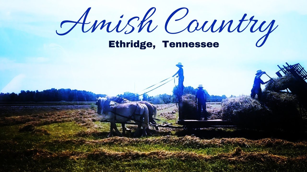 Amish Country - Ethridge, Tennessee