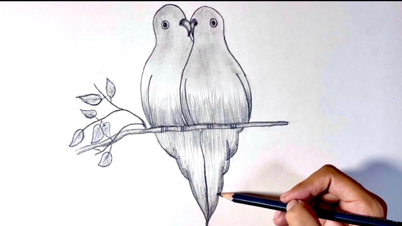 Beautiful lovebird drawing 🦜 | step by step | easy drawing | Pencil sketch 