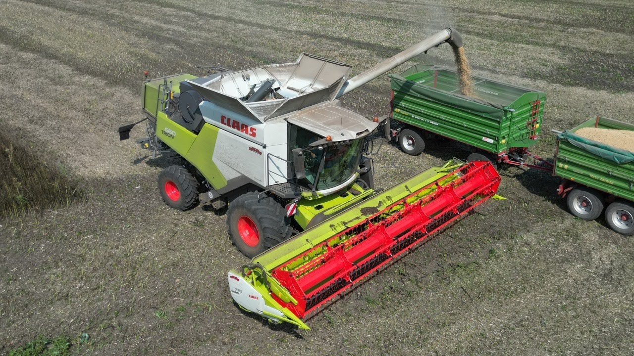 ✮KOSZENIE 8KM/H?! | ✔Żniwa Bobiku 2023 ✮ Claas Trion 660 ✮ Case IH Puma 150 ✮ Fendt 716 Vario✮