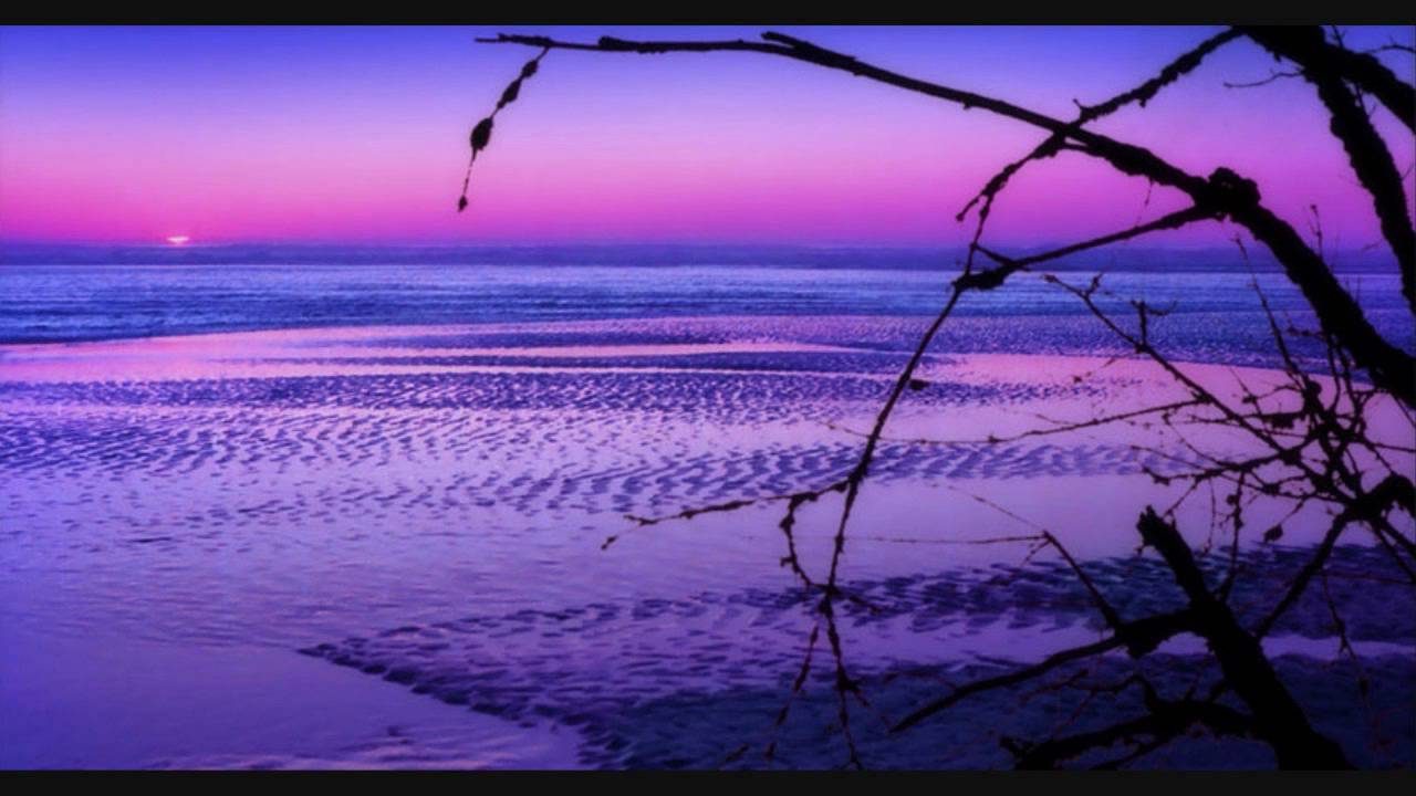 Solar Quest - Tokers Dream (remix)