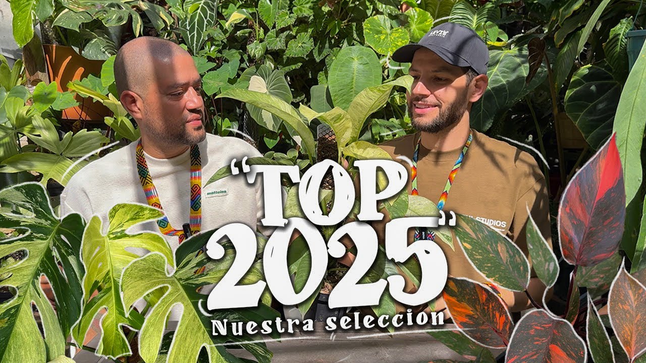 Top Plantas Favoritas 2025 Increíbles Raras y Bellísimas