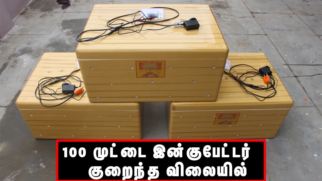 100 முட்டை இன்குபேட்டர் குறைந்த விலையில்| Incubator in Tamil | Automatic Incubator |