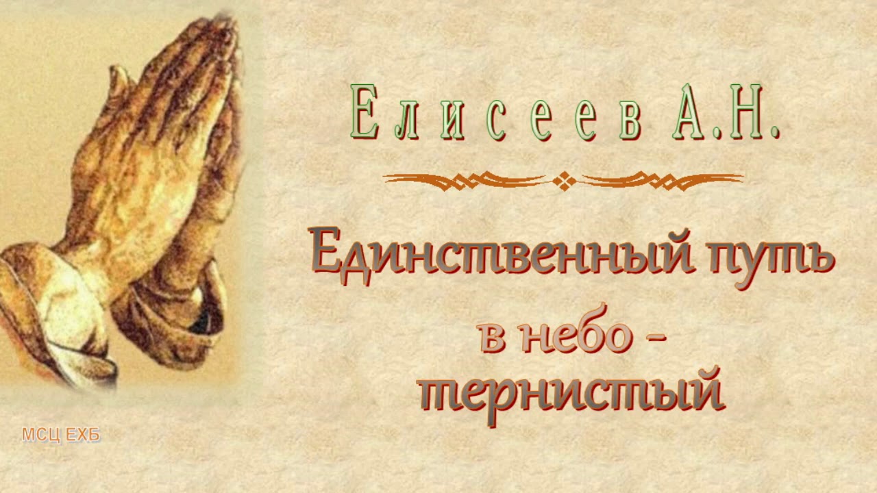 Елисеев А.Н. 