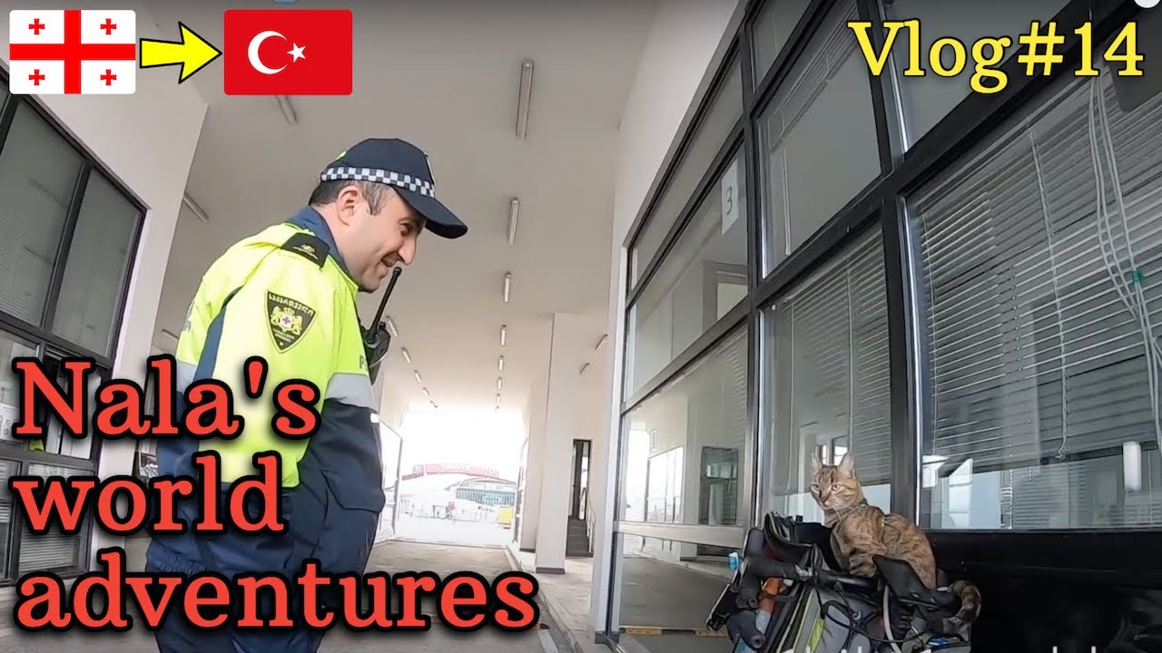 Nala cat's world adventures 🇬🇪➡️🇹🇷 VLOG#14