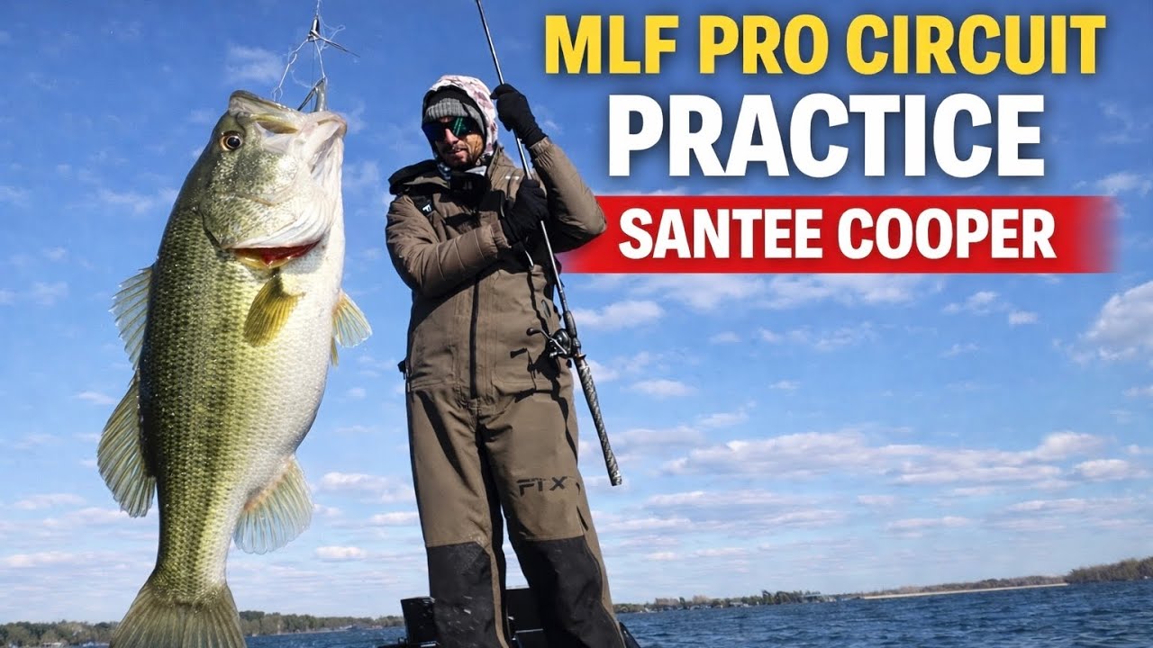 30-40-фунтовые мешки на Санти-Купер для тренировки MLF!! 🤯