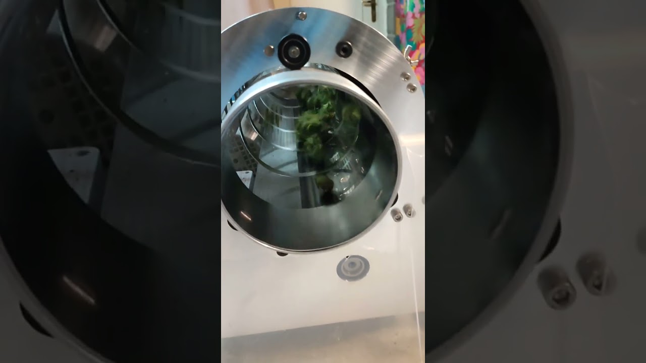 Utilisation d'une trimeuse pour manucurer le CBD