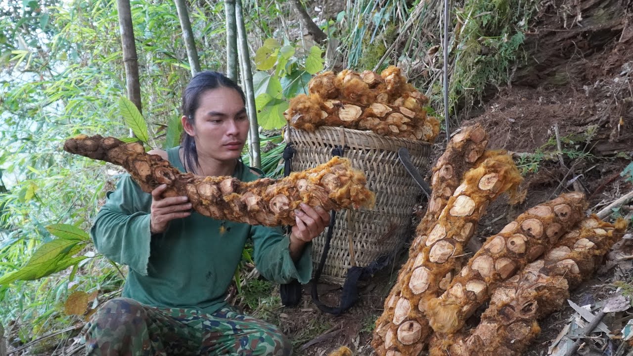 Harvest coolies and bring them to the market to sell, survival alone