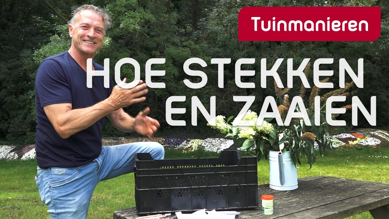 Hoe stekken en zaaien in juli en augustus? | Tuinieren | Tuinmanieren