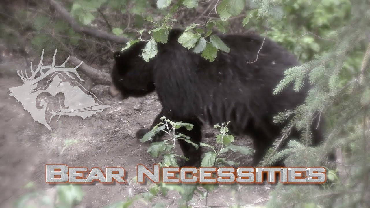 Best of the West S10 E1 - Bear Necessities