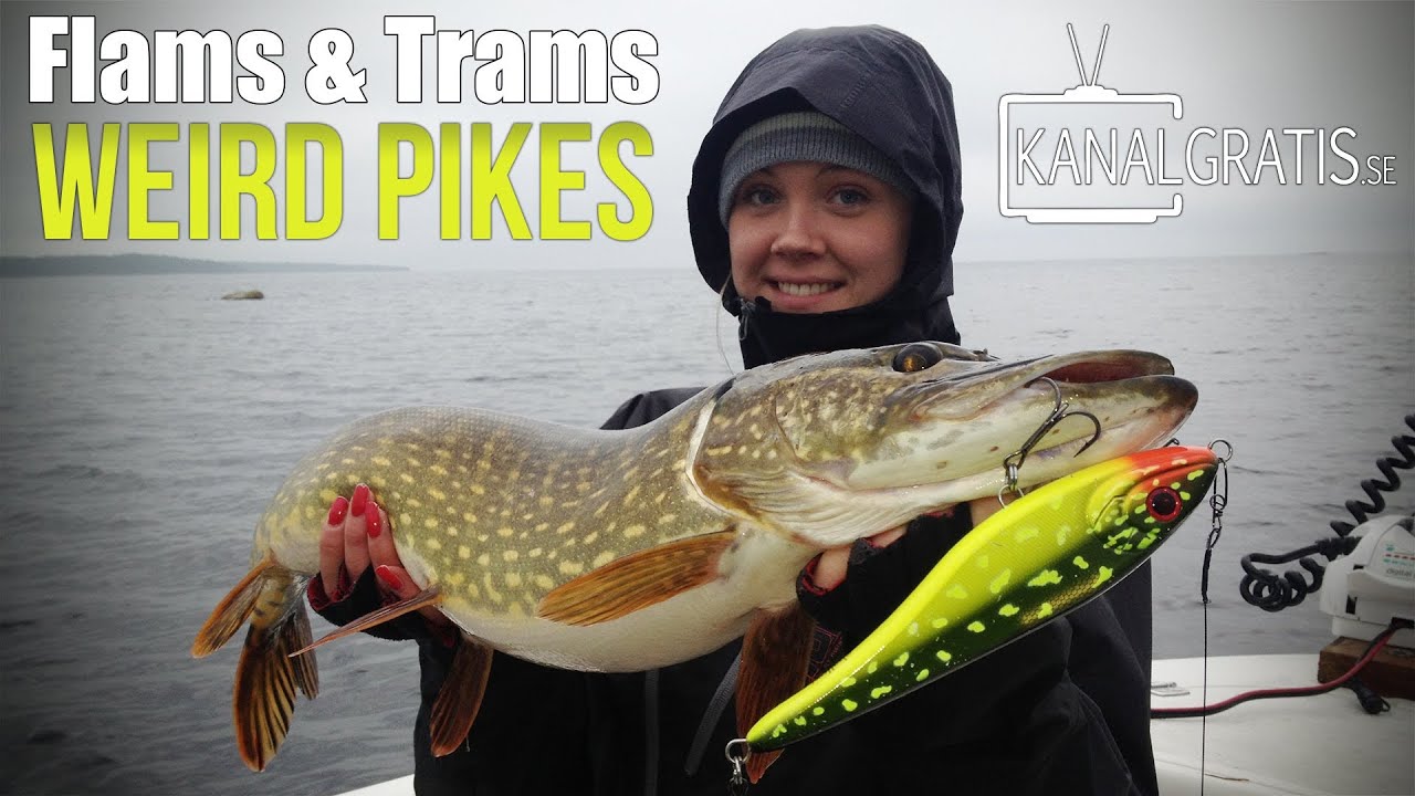 Flams & Trams ft. Sara - Weird Pikes - Kanalgratis.se