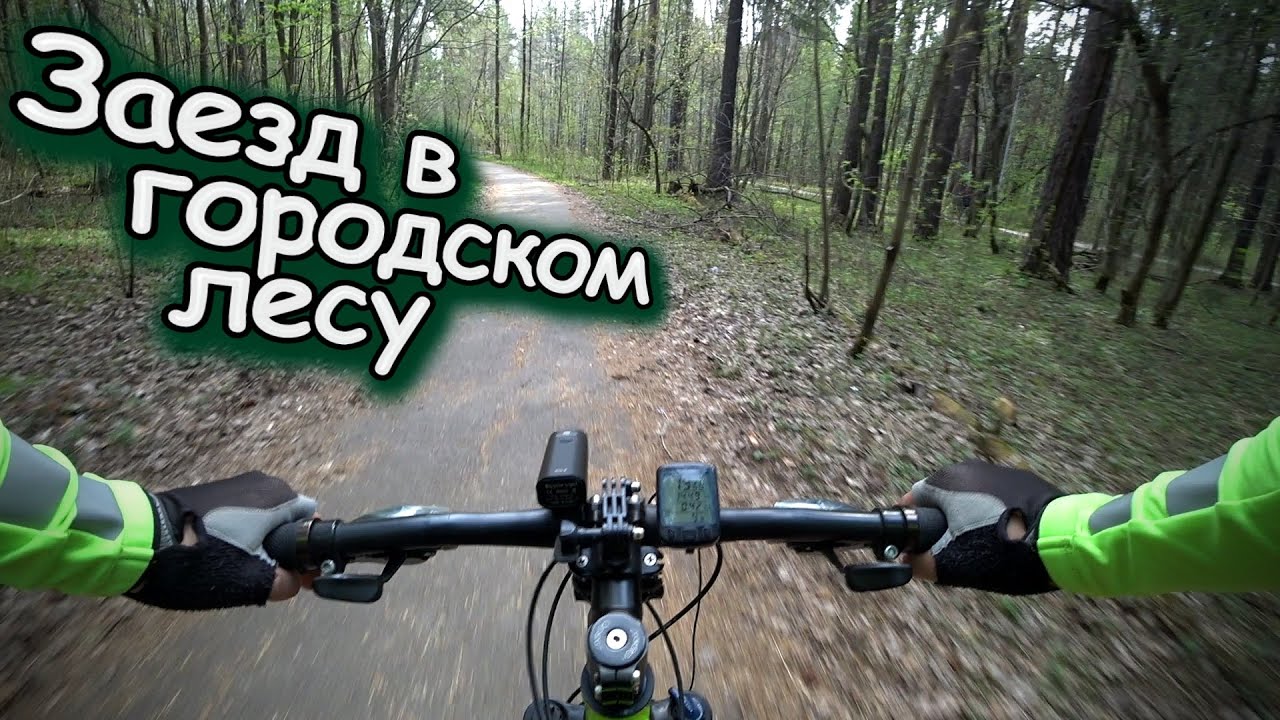 СТАДИОН ЛОКОМОТИВ ➡ ЧЕРНЯЕВСКИЙ ЛЕС (БАЛАТОВСКИЙ ПАРК) / ПОКАТУШКА ПО ГОРОДУ И В ЛЕСУ НА ВЕЛОСИПЕДЕ