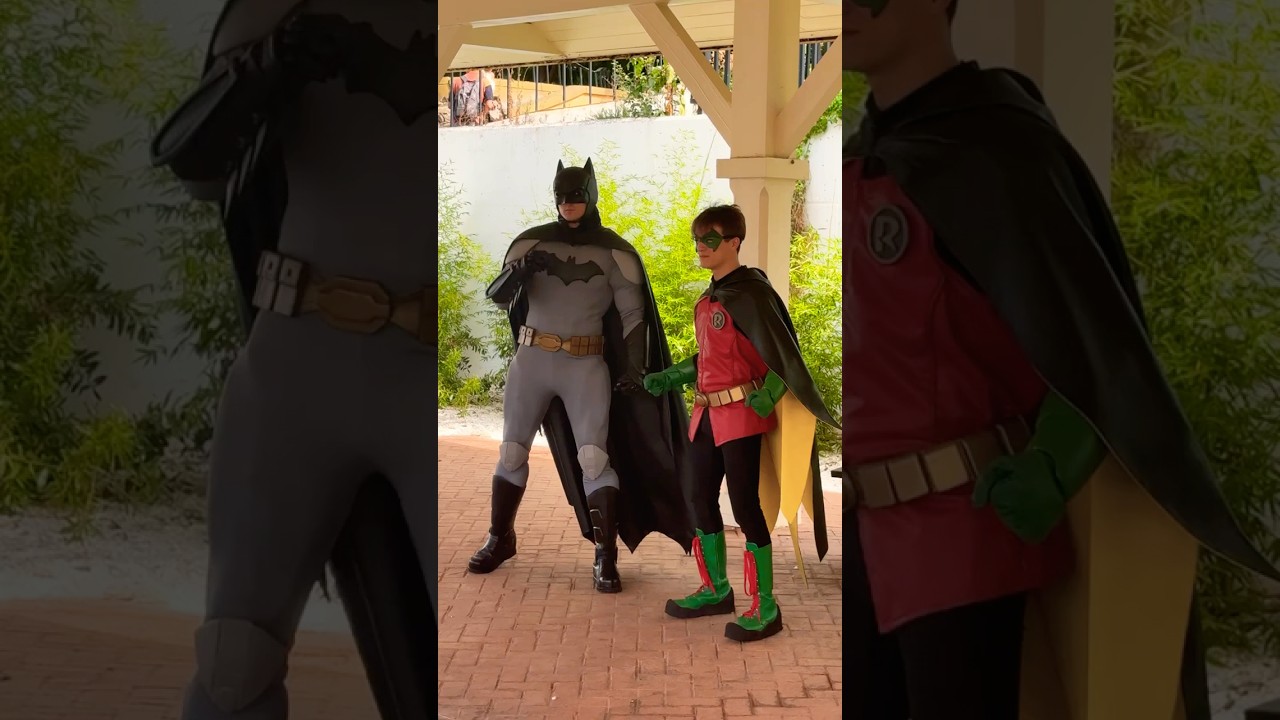 BATMAN ROBIN #batman #batmanday #robin #shortviral
