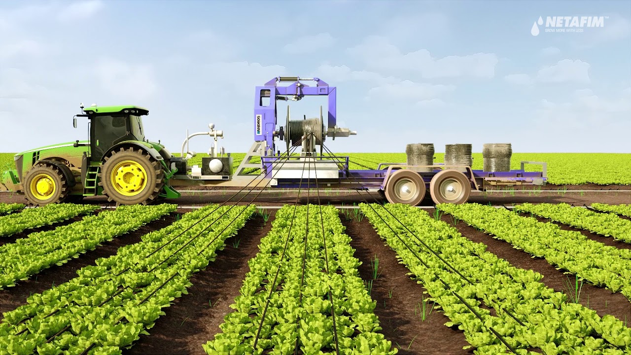 Work less and grow more with Netafim’s revolutionary single-use drip irrigation solution