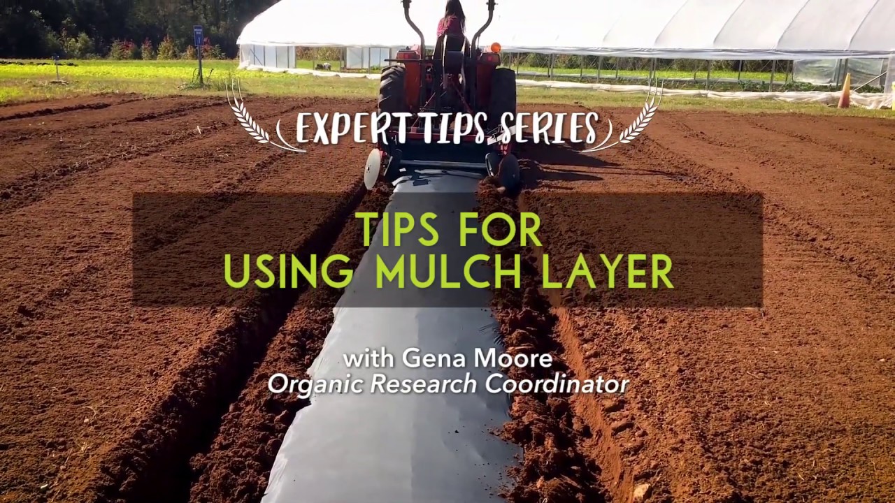 Tips for Using a Raised Bed Plastic Mulch Layer