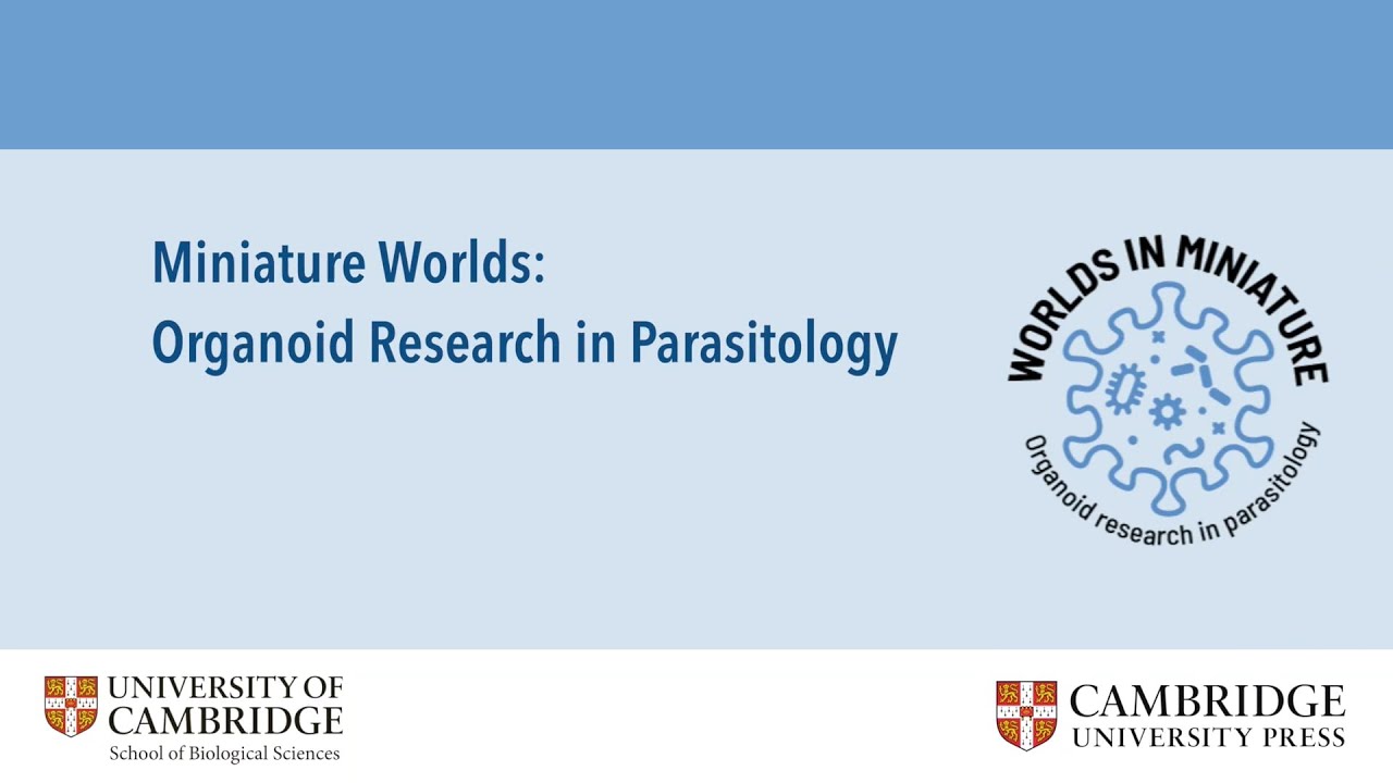 Organoid Research in Parasitology